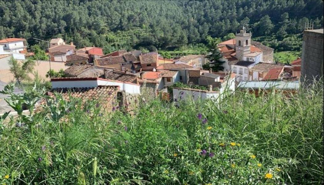 Гостьовий будинок Casa De Amparo Y Jose Manuel Pavies Екстер'єр фото